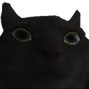 hivoid