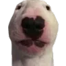 Walter