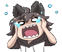 9648wolfboypanic