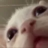 GooGooGaGaMommyMilkies