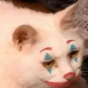 clown_cat