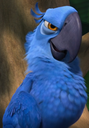 ultimategigachadbirdblu Discord emoji
