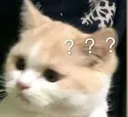 confusementcat