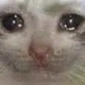 sadcaet
