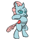sugarmorningocellus