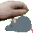 rat_pat