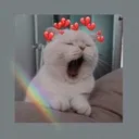 tmk_sleep