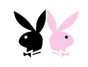 rosa_84