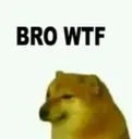 og_bro_wtf