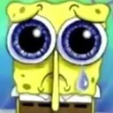sponja_sad