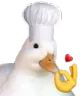 duckskiss