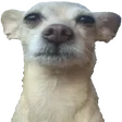 BRUH