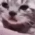 fcatcrying