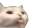 bleppers bleppers