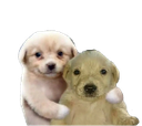 d_MikiesAbrazo Discord emoji