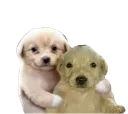 d_MikiesAbrazo