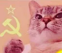 gatocomunista