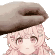 PippaPet