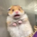 scared scared