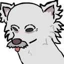 cb_cachorro_einsten