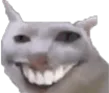 schizocat