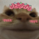 KU_CotKawaii Discord emoji