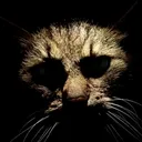 voidcat