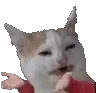 axel_what