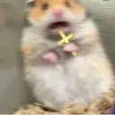 Images_Hamster_Holding_Cross