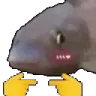 FishShy