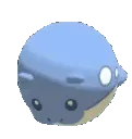 spheal_rolling