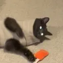 turtleneck