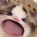 aaaa