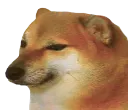 SmogeDoge