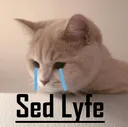 sadlyfe