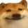 poggers poggers