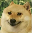 dogesmile