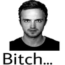 bitch bitch