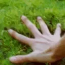 TouchGrass