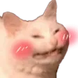 catlove