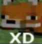 xd