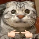 cat_ngaingungwa Discord emoji