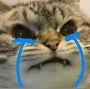 crying Discord Emoji