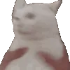 DIE