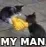 MyManCat