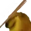 bonk