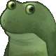 frogjitsu