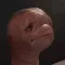 Meat