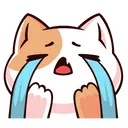 cry