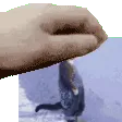 pat_tazer